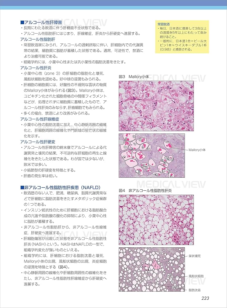 91FePP+gDsL._UF1000,1000_QL80_.jpg